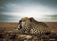 /album/tu-granito-cuenta/greenpeace1sp7-jpg/